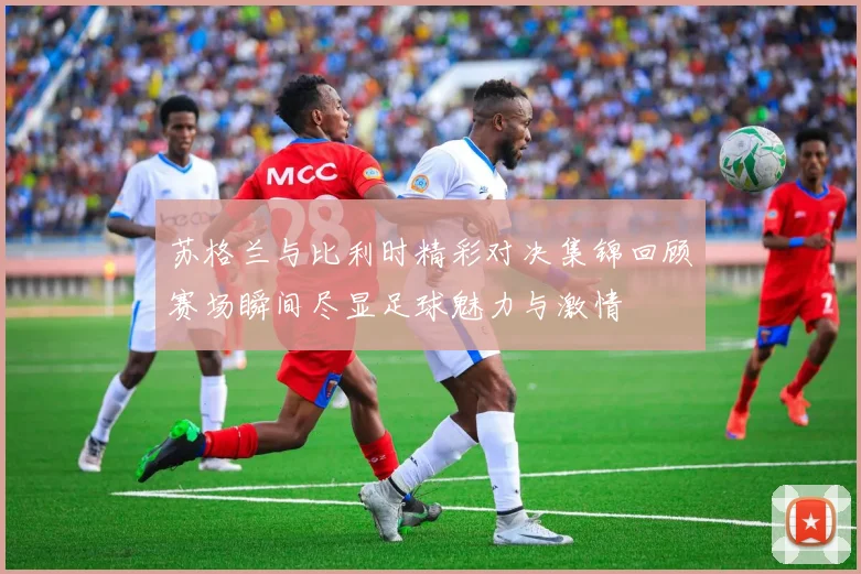 苏格兰与比利时精彩对决集锦回顾赛场瞬间尽显足球魅力与激情