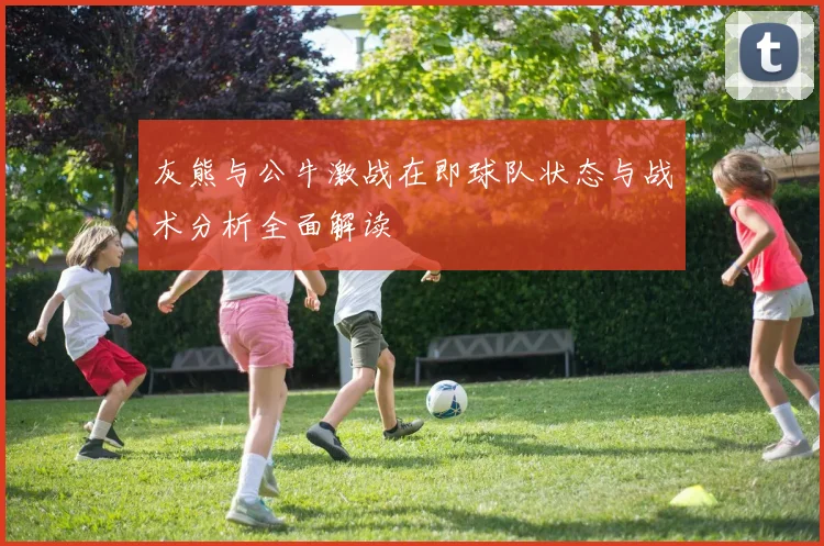 灰熊与公牛激战在即球队状态与战术分析全面解读