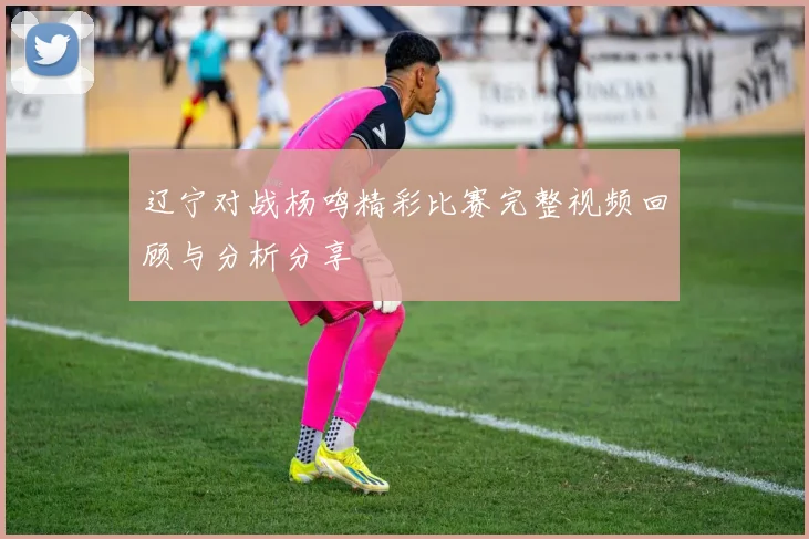 辽宁对战杨鸣精彩比赛完整视频回顾与分析分享