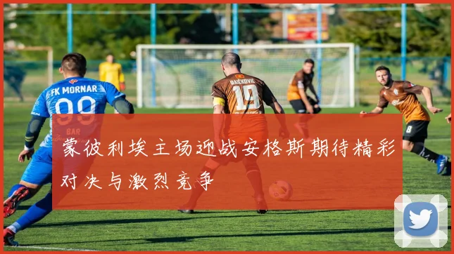 蒙彼利埃主场迎战安格斯期待精彩对决与激烈竞争