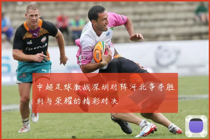 中超足球激战深圳对阵河北争夺胜利与荣耀的精彩对决